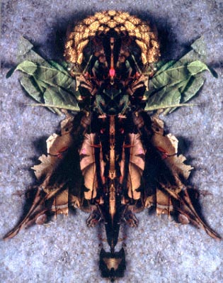 ����01��i